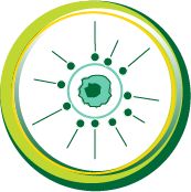 Female ESR1-mutated mBC patient treated with ORSERDU®