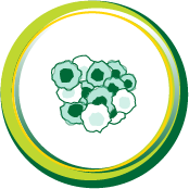 Female ESR1-mutated mBC patient treated with ORSERDU®